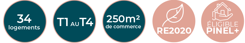 Logement et commerce Apollon RE2020 PINEL+PLUS