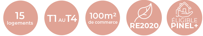 Logement et commerce Artemis RE2020 PINEL+PLUS